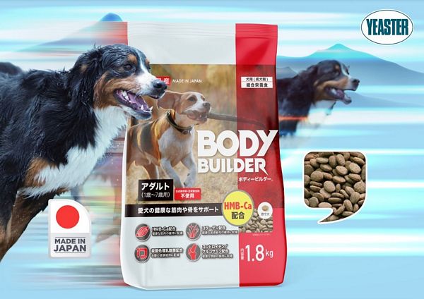 Thức ăn hỗn hợp hoàn chỉnh cho chó Nhật Bản – BODY BUILDER ADULT