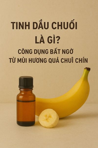 Tinh dầu chuối là gì? Công dụng bất ngờ từ mùi hương quả chuối chín