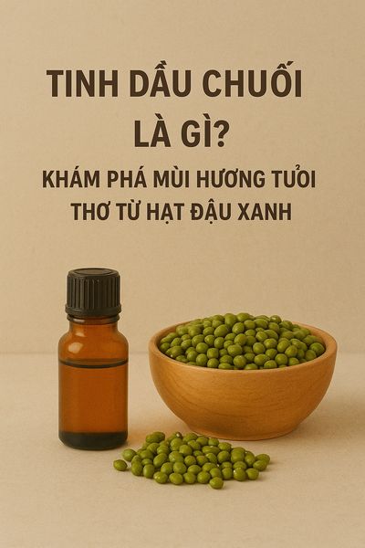 Tinh dầu đậu xanh là gì? Khám phá mùi hương tuổi thơ từ hạt đậu xanh