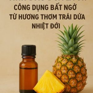 Tinh dầu dứa là gì? Công dụng bất ngờ từ hương thơm trái dứa nhiệt đới