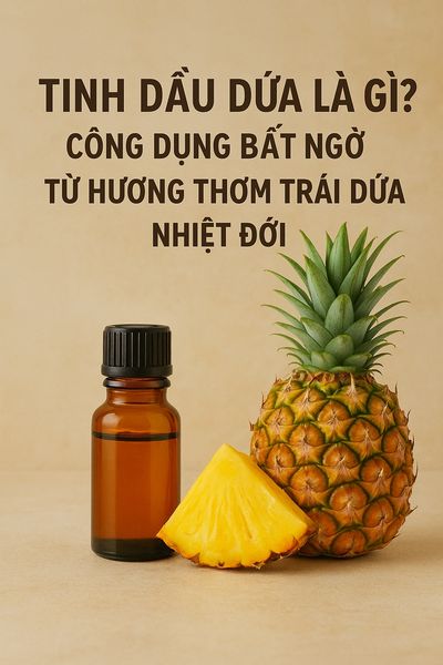 Tinh dầu dứa là gì? Công dụng bất ngờ từ hương thơm trái dứa nhiệt đới