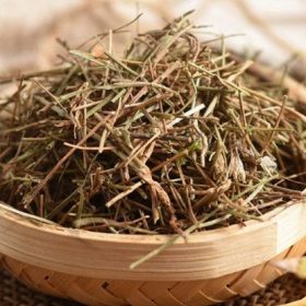 Bạch Hoa Xà & Bạch Hoa Xà Thiệt Thảo: Công Dụng, Cách Phân Biệt Và Lưu Ý Khi Sử Dụng Trong Đông Y