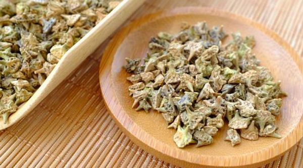 Bạch Tật Lê: Dược Liệu Bổ Thận, Tăng Cường Sinh Lý Nam Giới Theo Đông – Tây Y