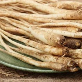 Cát cánh – “vệ sĩ” của đường hô hấp: Công dụng, dược tính và cách sử dụng khoa học