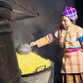 Rượu ngô men lá Hà Giang – Tinh hoa rượu truyền thống của người H’Mông vùng cao