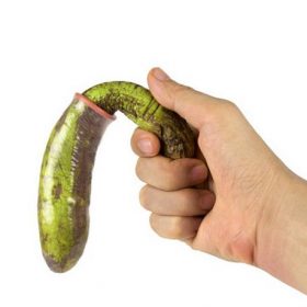 Tổng hợp thảo dược bổ thận tráng dương: Bạch Tật Lê – Dâm Dương Hoắc – Nhục Thung Dung