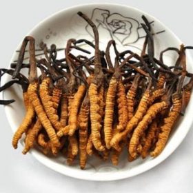 Đông Trùng Hạ Thảo Là Gì? Nguồn Gốc, Công Dụng, Thành Phần Và Cách Sử Dụng Chuẩn Khoa Học