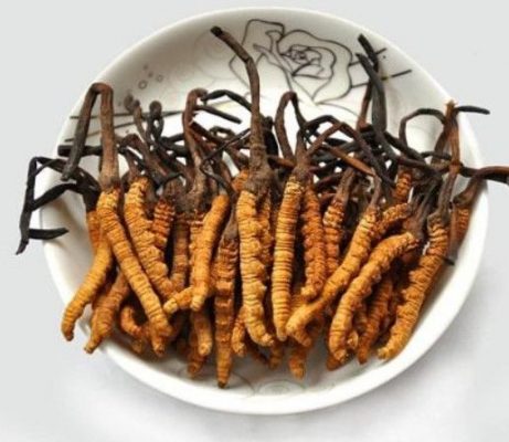 Đông Trùng Hạ Thảo Là Gì? Nguồn Gốc, Công Dụng, Thành Phần Và Cách Sử Dụng Chuẩn Khoa Học