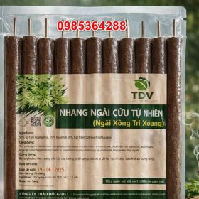 Hương ngải cứu là gì? Công dụng, thành phần hóa học và lưu ý an toàn khi sử dụng