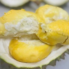 Cách Ướp Bánh, Kem Bằng Tinh Dầu Sầu Riêng Thơm Lâu, Đậm Vị Tự Nhiên