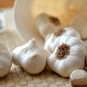 Tinh dầu tỏi có giúp giảm viêm xoang? Công dụng và cách sử dụng hiệu quả