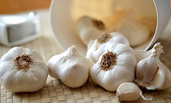 Tinh dầu tỏi có giúp giảm viêm xoang? Công dụng và cách sử dụng hiệu quả